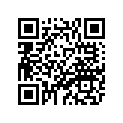70R-24489-00-00 O-RING 2