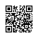 710000137 BLANK KEY (