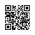 710000546 Clignotant *flasher