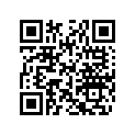 710000740 Relay, 30 Amperes