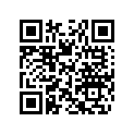710001127 Verrou *lock