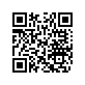 710001133 Lock