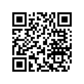 715900018L Cle Cont.vierge*blank Key