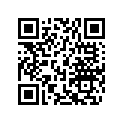 715900018R Cle Cont.vierge*blank Key