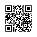 715900019 Key, Groove on Left Side