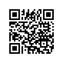 7229494 TERMINAL,PREINSULATED,