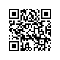 7256808 TERMINAL,SOCKET,#2022A