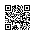7257912 TERMINAL,SOCKET,#1416AW
