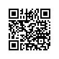 7452570 BRKTASSY