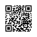 75041085010 O-RING