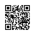 75251-758-010 ARM