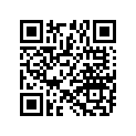 7547770-156 NUT-JAM,MIRROR,EU,IND,CHR