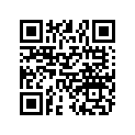 7556060 Washer, Wave