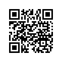 7556206 WSHR-1/4 FLAT,.060 THK