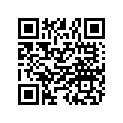 7556213 WASHER-.505X1.00X.062,HH-Y