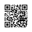 7556245 Wshr-fl, 8x1.6, Zinc