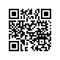 7556498 WASHER-.39X1.75X.05/06 ZY3