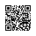 7556544 WSHR-5.3X30X1.5 FLAT