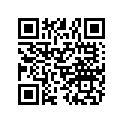 7556732 WASHER-.325X1.38X.093,FL-RIE