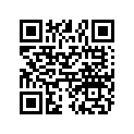 7557060 RING SHIM, DIN, 22 X 30 X .5