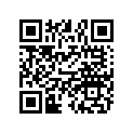 7710554 RING-RTNG,INT,3000X300