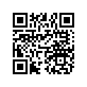 7710641 RETING RING
