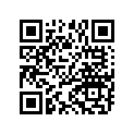 7710707 RING-RETNG,EXT