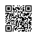 7710782 RING-SNAP77.6X68.2X1.89 6207LK
