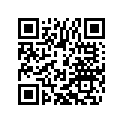77109070000 RIM 1,6X21 EXCEL 11