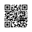 77231-463-740 Lever