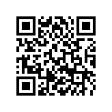 77304066000 CHAIN SLIDING PROTECTION