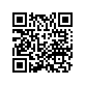 77331-MGZ-J00 Rubber, Rr. Grip