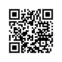77711083000 SUPPORT BRACKET