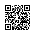 78030057000 BALANCE WEIGHT
