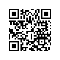 7901007000030 RIM 2,15X19 EXCEL BLACK