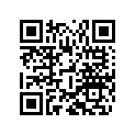 7911007000030 RIM 2,15X19 EXCEL SXS 08