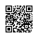 79430057010 FRICTION BEAR. BUSH BALANC.SH.