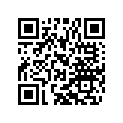 79432023231 PRIMARY GEAR 31T