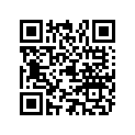 79888 SOCKET