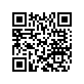 800028929 O-ring 4081