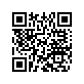 800035531 Key, Brank