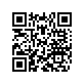 800060234 Washer 28x22x10.5x2.5