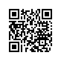 800072874 Chain Guide