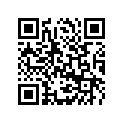 800079790 Chain Link Did 520ds