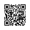 800080260 Fork Oil