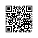 800090485 Washer