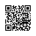 80115-MBG-000 RUBBER, RR.