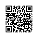 801331632 11211331632 BUSH
