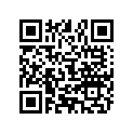 801331639 WASHER