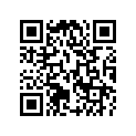 804081 SPRING
